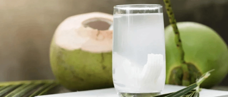 Nước dừa có thể uống thay thế nước lọc không? Sự thật không phải ai cũng biết Nước dừa có thể uống thay thế nước lọc không? Sự thật không phải ai cũng biết